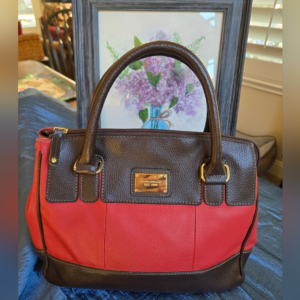 Tignanello "Social Status" Pebble Leather Satchel